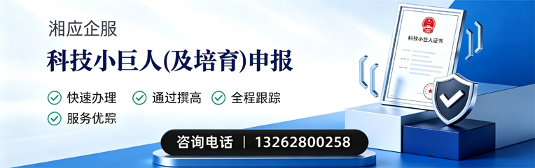 江西科技小巨人及培育企业申报服务