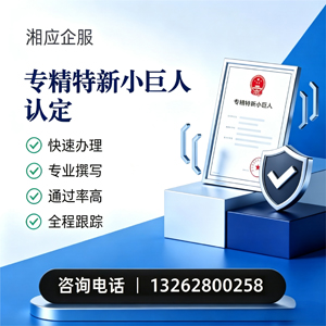 江西专精特新小巨人申报服务