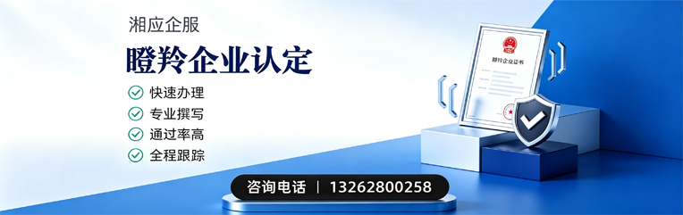 江西瞪羚企业认定申报服务