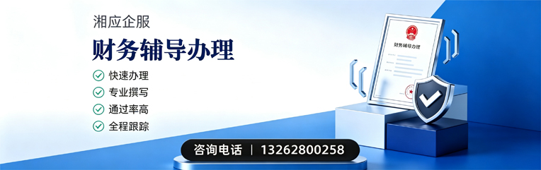 江西财务辅导申请服务