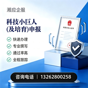 江西科技小巨人及培育企业申报服务