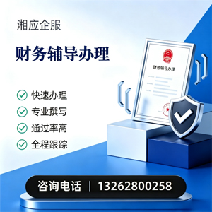 江西财务辅导申请服务