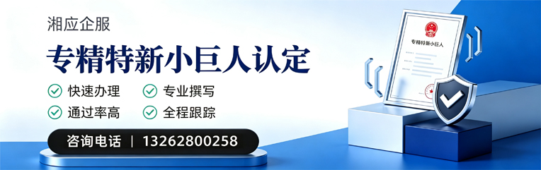江西专精特新小巨人申报服务